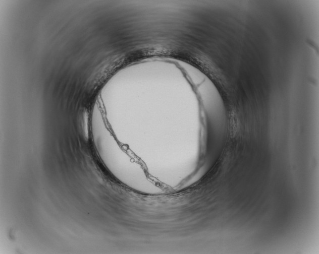 X0000102370022200808221750