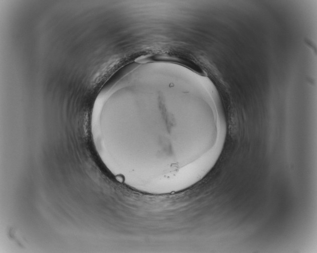 X0000102370023200808221750