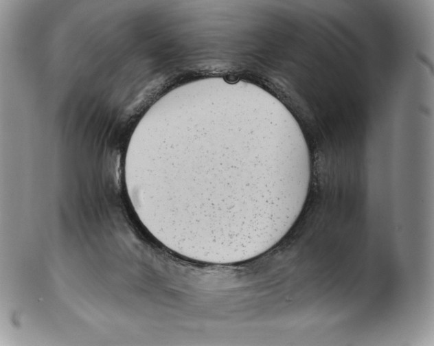 X0000102370024200808221750