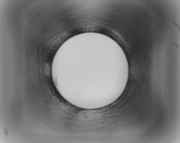 X0000102370025200808221750