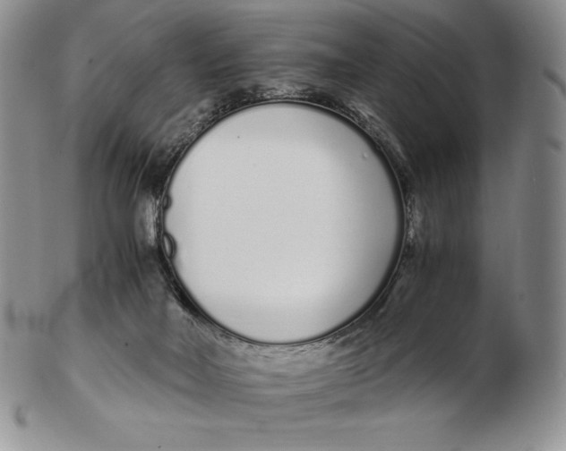 X0000102370026200808221750