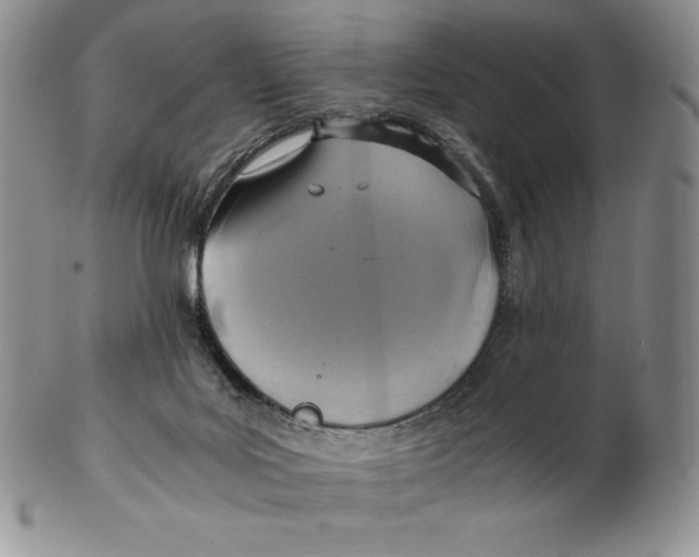 X0000102370027200808221750