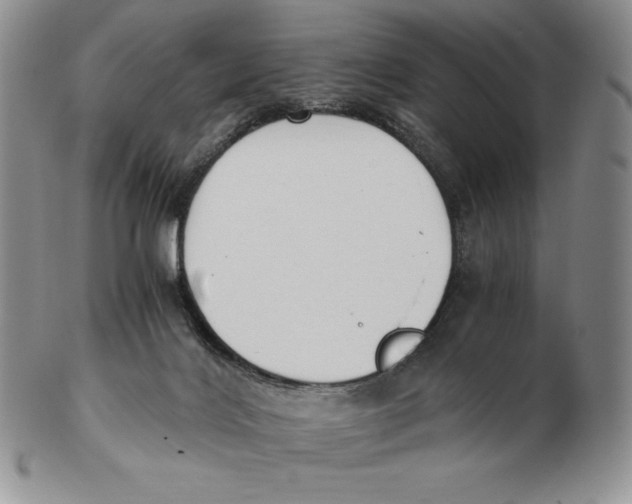 X0000102370028200808221750