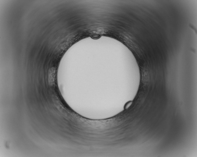 X0000102370030200808221749