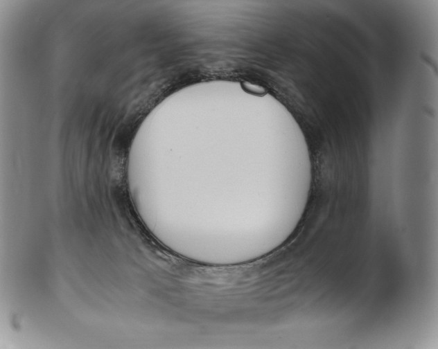 X0000102370033200808221749