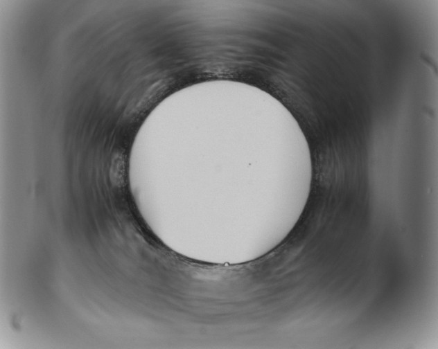 X0000102370036200808221749