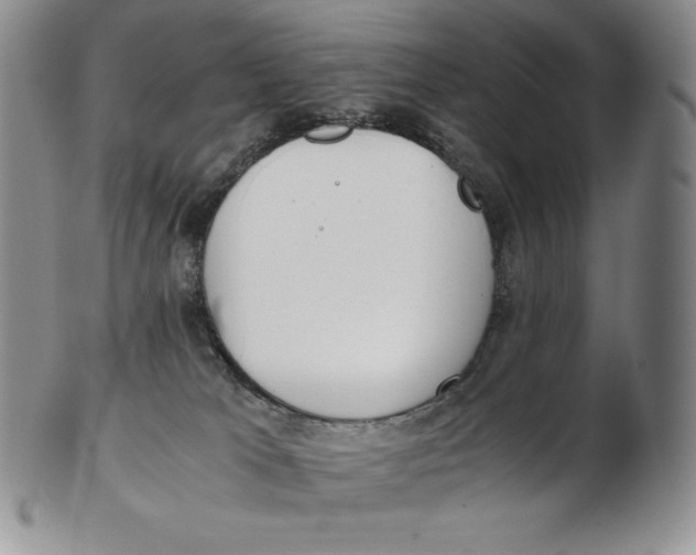 X0000102370037200808221749