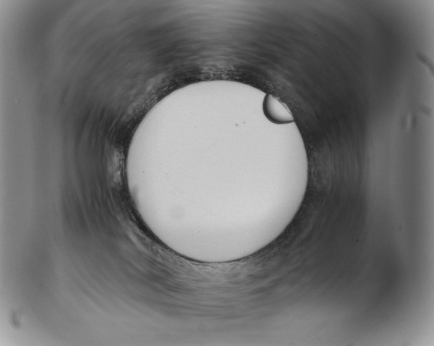 X0000102370038200808221749