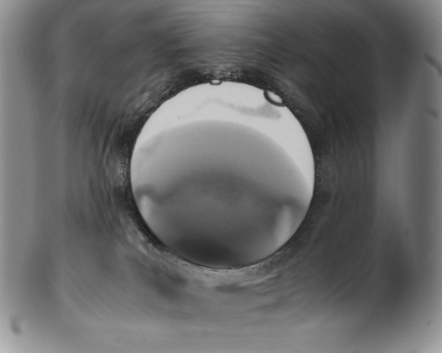 X0000102370039200808221749