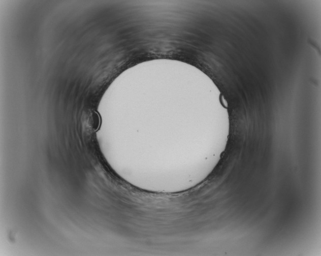 X0000102370040200808221749