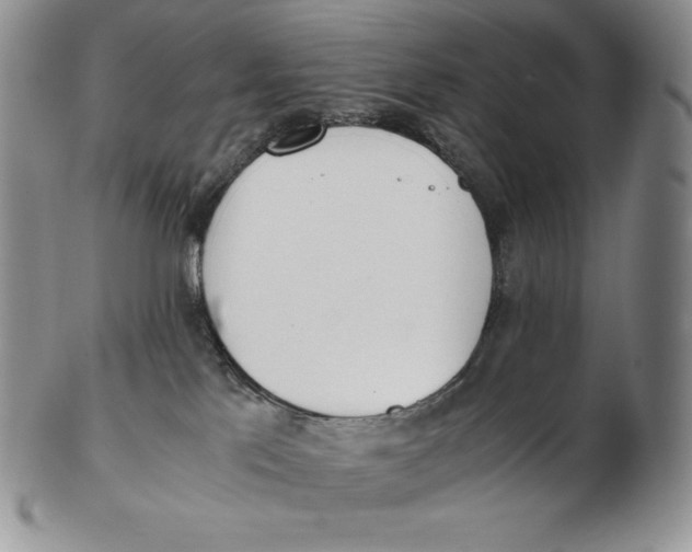 X0000102370041200808221749