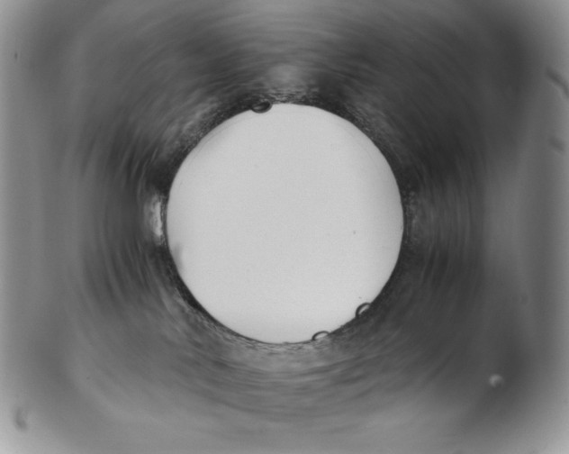 X0000102370042200808221749