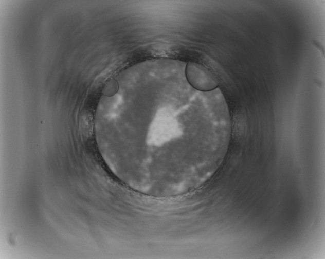 X0000102370043200808221749