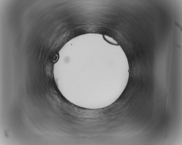 X0000102370044200808221749