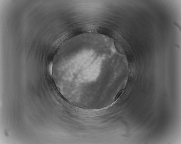 X0000102370047200808221749