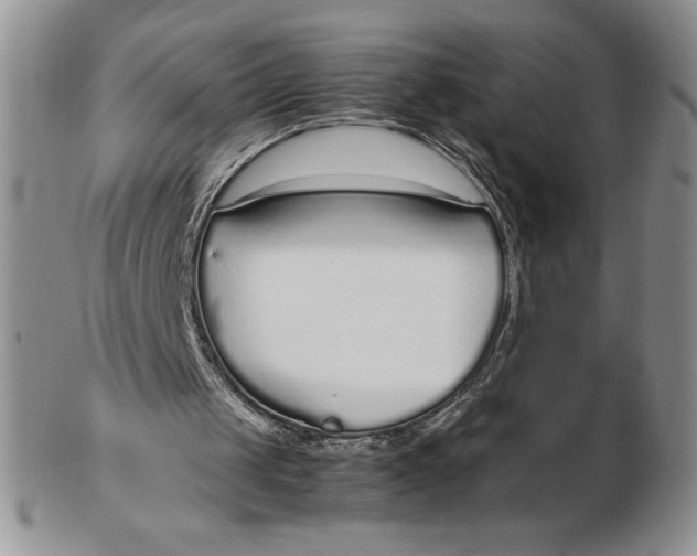 X0000102370049200808221748