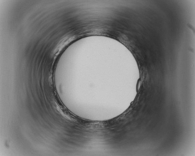 X0000102370050200808221748