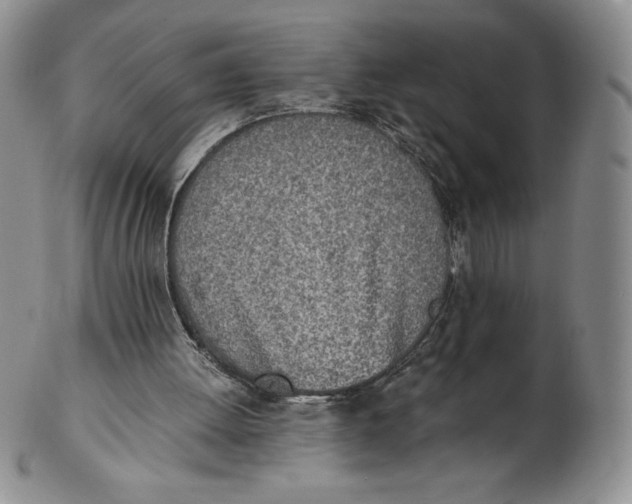 X0000102370052200808221748