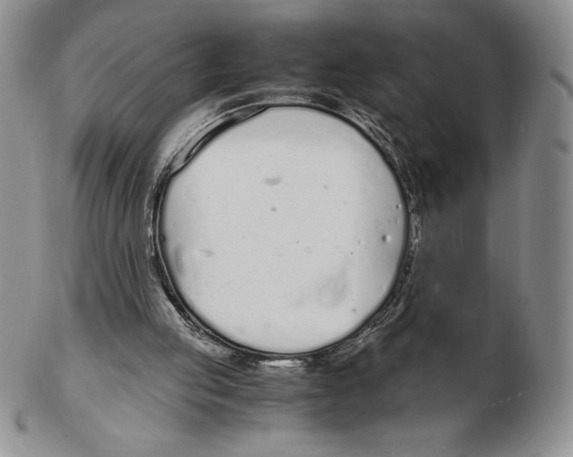 X0000102370053200808221748