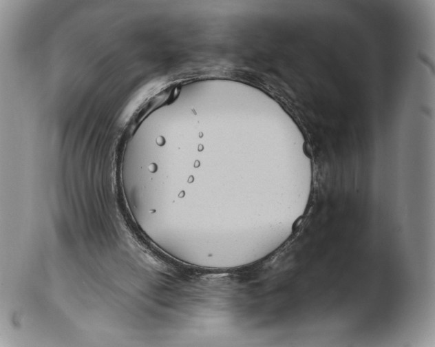 X0000102370054200808221748