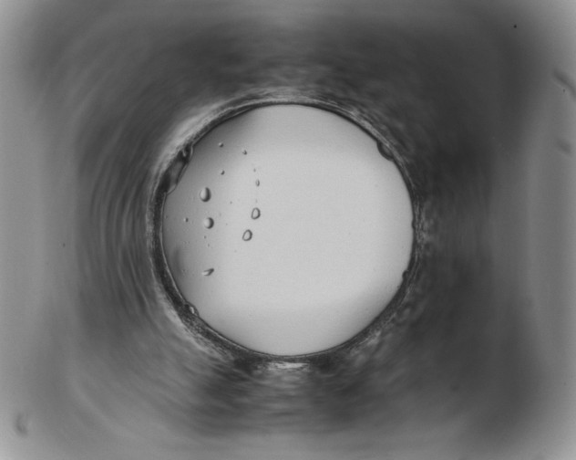 X0000102370055200808221748