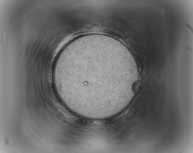 X0000102370056200808221748