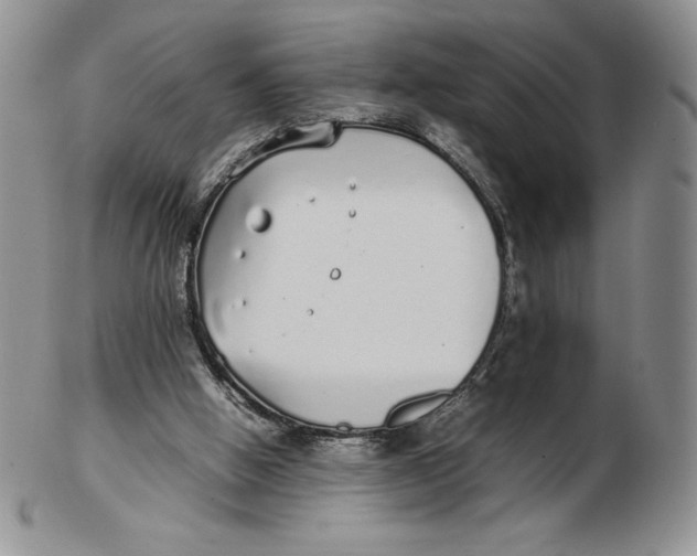 X0000102370058200808221748