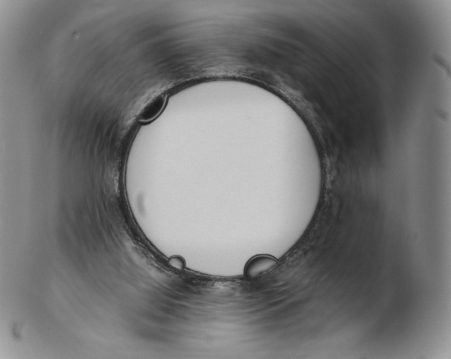 X0000102370060200808221748