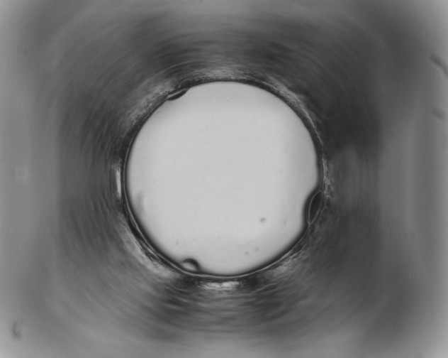 X0000102370061200808221749