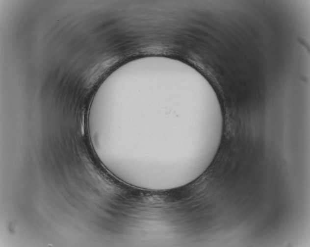 X0000102370062200808221749