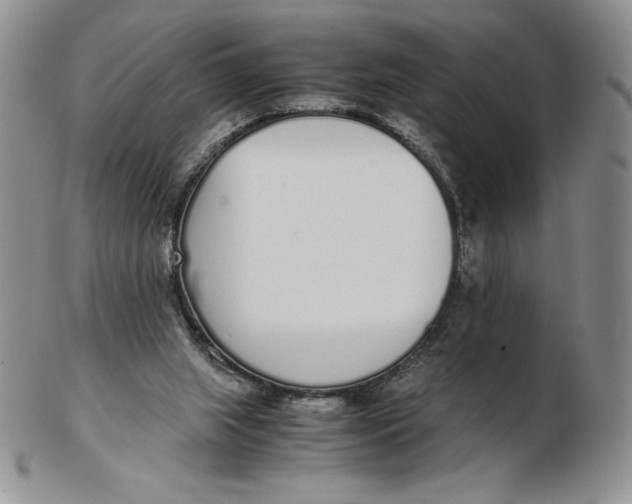 X0000102370063200808221749