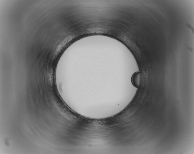 X0000102370064200808221749