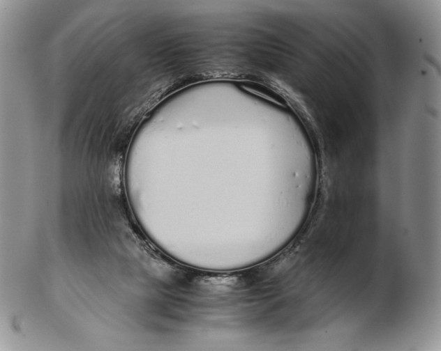 X0000102370065200808221749