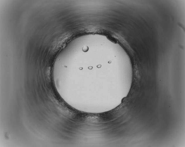 X0000102370066200808221749