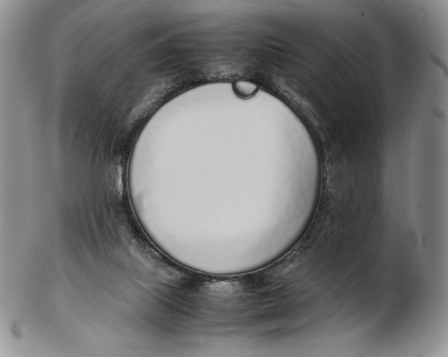 X0000102370067200808221749