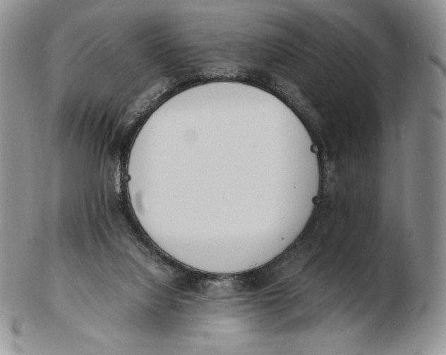 X0000102370068200808221749