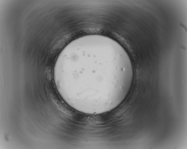 X0000102370069200808221749