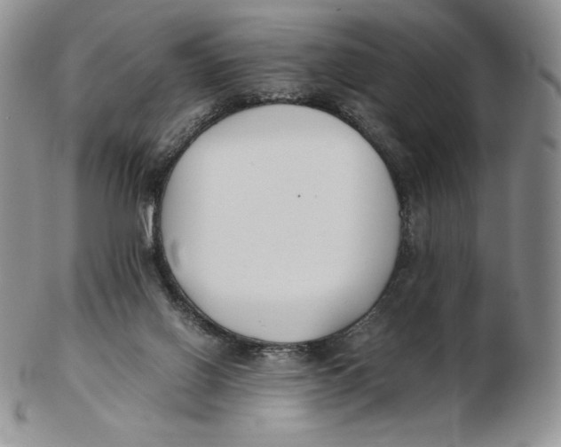 X0000102370070200808221749