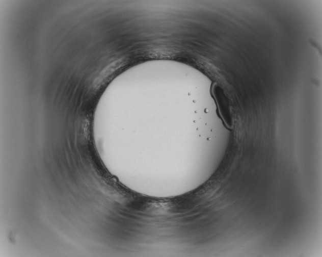 X0000102370071200808221749