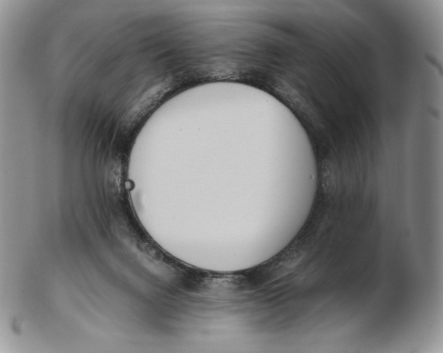 X0000102370072200808221749