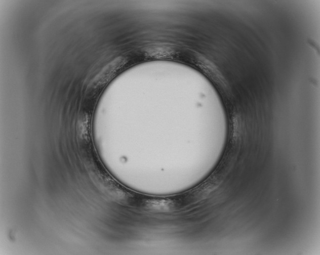 X0000102370073200808221749