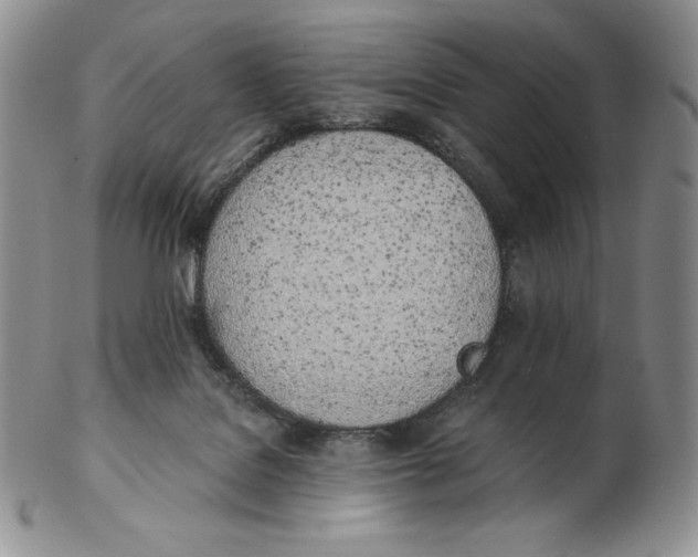 X0000102370076200808221749