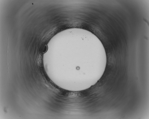 X0000102370077200808221749