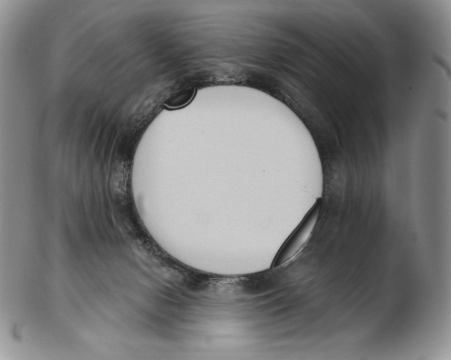 X0000102370078200808221749