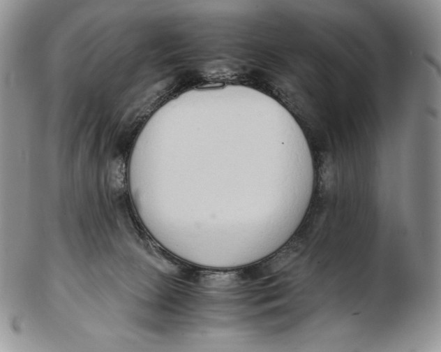 X0000102370081200808221749