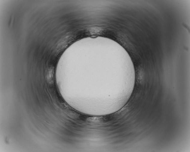 X0000102370082200808221749