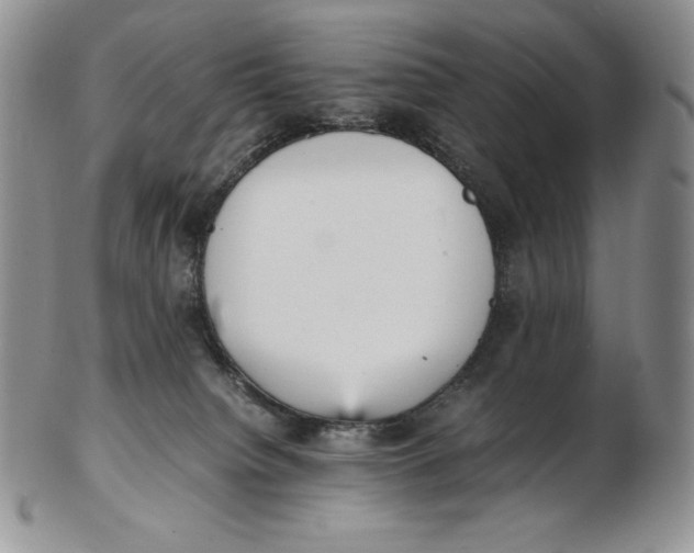 X0000102370084200808221749