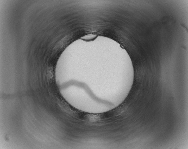 X0000102370085200808221749