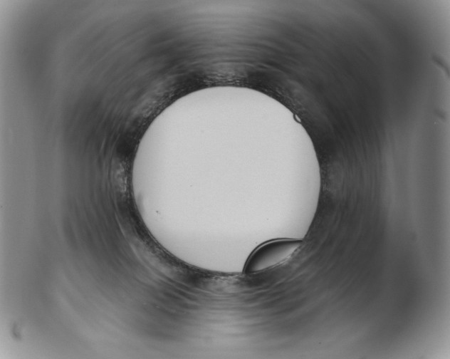 X0000102370086200808221749