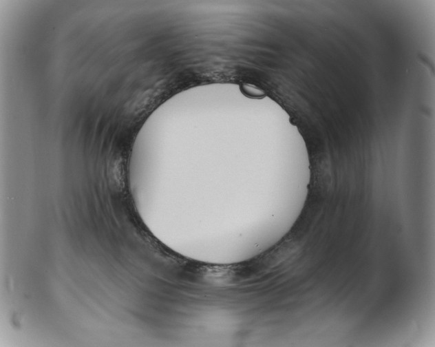 X0000102370088200808221749